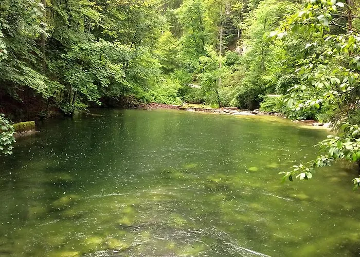 Haselmoar Altmünster