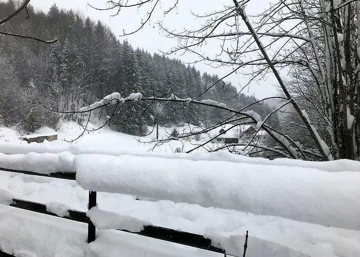 Hébergement de vacances Haselmoar